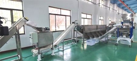 核桃去青皮清洗、提升機